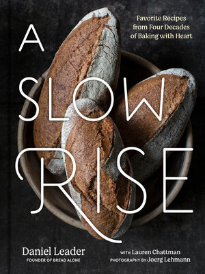 cover image of A Slow Rise